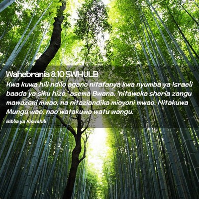 Picture 02 - Wahebrania 8:10 SWHULB - Kwa kuwa hili ndilo agano nitafanya kwa nyumba ya - Bible Verse Picture