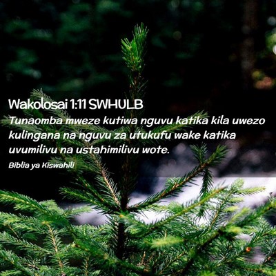 Picture 02 - Wakolosai 1:11 SWHULB - Tunaomba mweze kutiwa nguvu katika kila uwezo - Bible Verse Picture