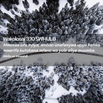 Picture 02 - Wakolosai 3:10 SWHULB - Mmevaa utu mpya, ambao unafanywa upya katika - Bible Verse Picture