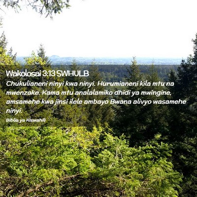 Picture 02 - Wakolosai 3:13 SWHULB - Chukulianeni ninyi kwa ninyi. Hurumianeni kila - Bible Verse Picture