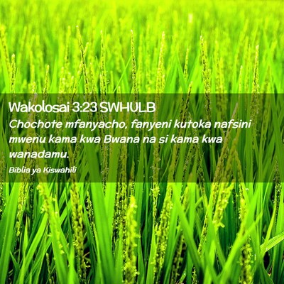 Picture 02 - Wakolosai 3:23 SWHULB - Chochote mfanyacho, fanyeni kutoka nafsini mwenu - Bible Verse Picture