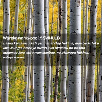 Picture 02 - Waraka wa Yakobo 1:5 SWHULB - Lakini kama mtu kati yenu anahitaji hekima, - Bible Verse Picture