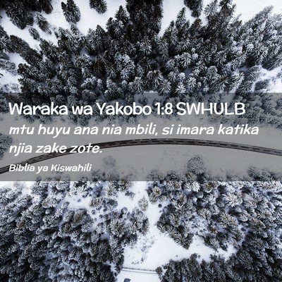 Picture 02 - Waraka wa Yakobo 1:8 SWHULB - mtu huyu ana nia mbili, si imara katika njia zake - Bible Verse Picture