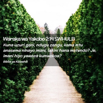 Picture 02 - Waraka wa Yakobo 2:14 SWHULB - Kuna uzuri gani, ndugu zangu, kama mtu anasema - Bible Verse Picture