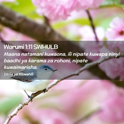 Picture 02 - Warumi 1:11 SWHULB - Maana natamani kuwaona, ili nipate kuwapa ninyi - Bible Verse Picture