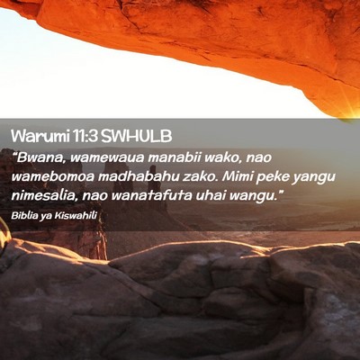 Picture 02 - Warumi 11:3 SWHULB - “Bwana, wamewaua manabii wako, nao wamebomoa - Bible Verse Picture