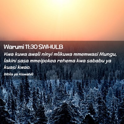 Picture 02 - Warumi 11:30 SWHULB - Kwa kuwa awali ninyi mlikuwa mmemwasi Mungu, - Bible Verse Picture