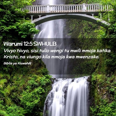 Picture 02 - Warumi 12:5 SWHULB - Vivyo hivyo, sisi tulio wengi tu mwili mmoja - Bible Verse Picture
