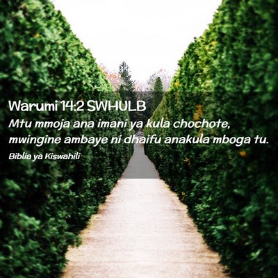 Picture 02 - Warumi 14:2 SWHULB - Mtu mmoja ana imani ya kula chochote, mwingine - Bible Verse Picture