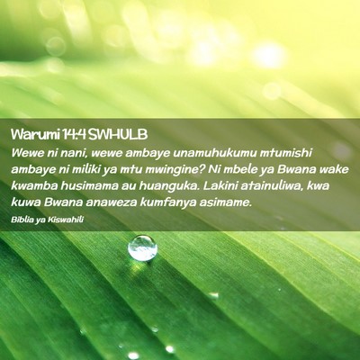 Picture 02 - Warumi 14:4 SWHULB - Wewe ni nani, wewe ambaye unamuhukumu mtumishi - Bible Verse Picture