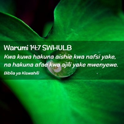 Picture 02 - Warumi 14:7 SWHULB - Kwa kuwa hakuna aishie kwa nafsi yake, na hakuna - Bible Verse Picture
