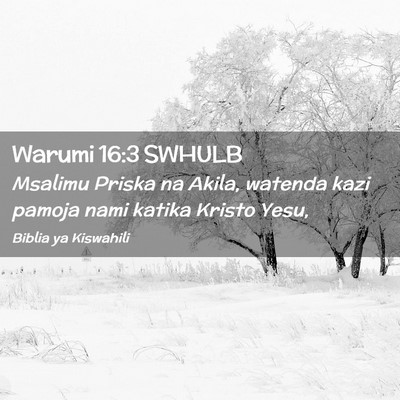 Picture 02 - Warumi 16:3 SWHULB - Msalimu Priska na Akila, watenda kazi pamoja nami - Bible Verse Picture