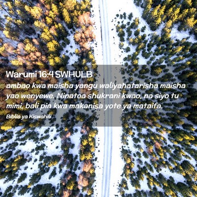 Picture 02 - Warumi 16:4 SWHULB - ambao kwa maisha yangu waliyahatarisha maisha yao - Bible Verse Picture