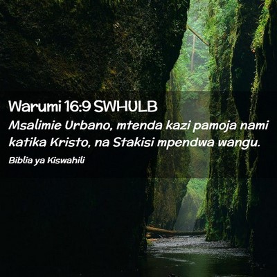 Picture 02 - Warumi 16:9 SWHULB - Msalimie Urbano, mtenda kazi pamoja nami katika - Bible Verse Picture
