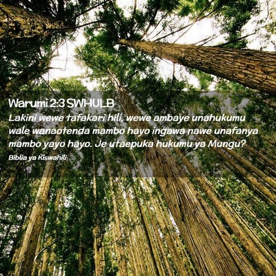 Picture 02 - Warumi 2:3 SWHULB - Lakini wewe tafakari hili, wewe ambaye unahukumu - Bible Verse Picture