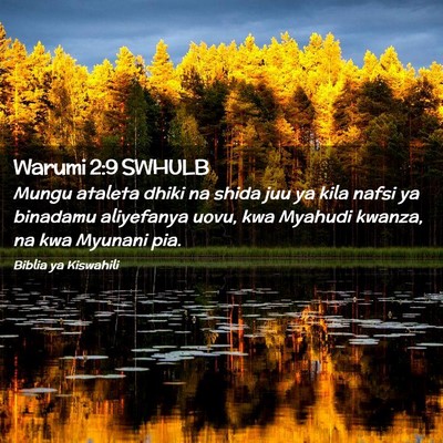 Picture 02 - Warumi 2:9 SWHULB - Mungu ataleta dhiki na shida juu ya kila nafsi ya - Bible Verse Picture