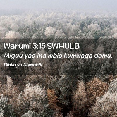 Picture 02 - Warumi 3:15 SWHULB - Miguu yao ina mbio kumwaga - Bible Verse Picture