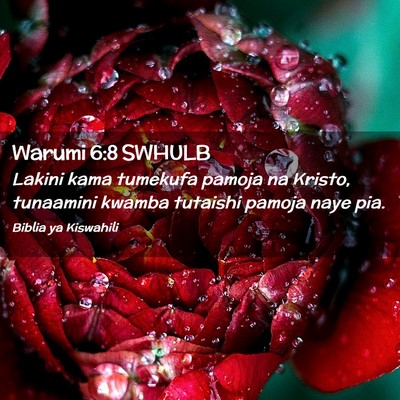Picture 02 - Warumi 6:8 SWHULB - Lakini kama tumekufa pamoja na Kristo, tunaamini - Bible Verse Picture