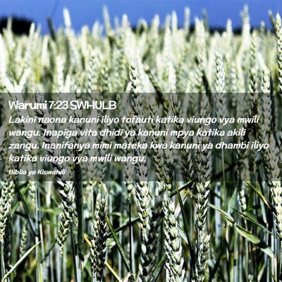 Picture 02 - Warumi 7:23 SWHULB - Lakini naona kanuni iliyo tofauti katika viungo - Bible Verse Picture