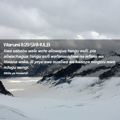 Picture 02 - Warumi 8:29 SWHULB - Kwa sababu wale wote aliowajua tangu asili, pia - Bible Verse Picture