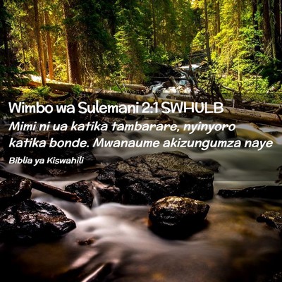 Picture 02 - Wimbo wa Sulemani 2:1 SWHULB - Mimi ni ua katika tambarare, nyinyoro katika - Bible Verse Picture