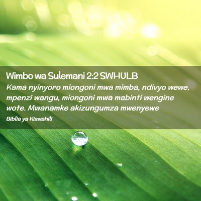 Picture 02 - Wimbo wa Sulemani 2:2 SWHULB - Kama nyinyoro miongoni mwa mimba, ndivyo wewe, - Bible Verse Picture