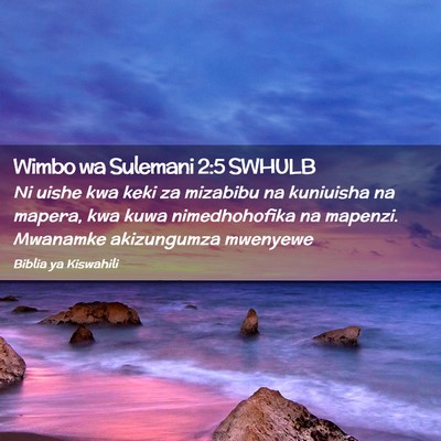Picture 02 - Wimbo wa Sulemani 2:5 SWHULB - Ni uishe kwa keki za mizabibu na kuniuisha na - Bible Verse Picture