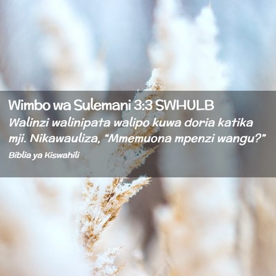 Picture 02 - Wimbo wa Sulemani 3:3 SWHULB - Walinzi walinipata walipo kuwa doria katika mji. - Bible Verse Picture