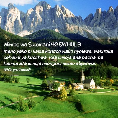 Picture 02 - Wimbo wa Sulemani 4:2 SWHULB - Meno yako ni kama kondoo walio nyolewa, wakitoka - Bible Verse Picture