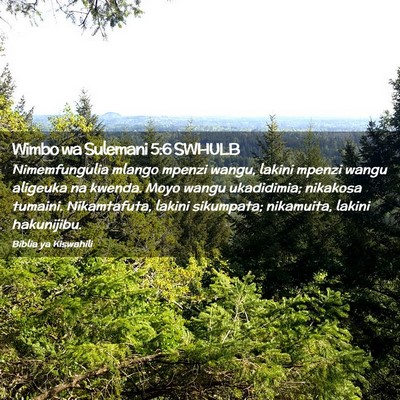 Picture 02 - Wimbo wa Sulemani 5:6 SWHULB - Nimemfungulia mlango mpenzi wangu, lakini mpenzi - Bible Verse Picture