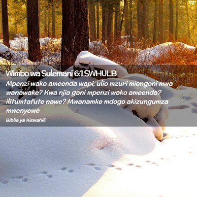 Picture 02 - Wimbo wa Sulemani 6:1 SWHULB - Mpenzi wako ameenda wapi, ulio mzuri miongoni mwa - Bible Verse Picture