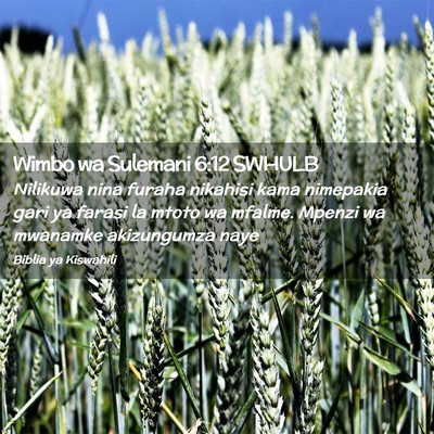 Picture 02 - Wimbo wa Sulemani 6:12 SWHULB - Nilikuwa nina furaha nikahisi kama nimepakia gari - Bible Verse Picture