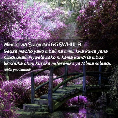 Picture 02 - Wimbo wa Sulemani 6:5 SWHULB - Geuza macho yako mbali na mimi, kwa kuwa yana - Bible Verse Picture