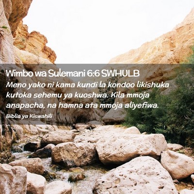 Picture 02 - Wimbo wa Sulemani 6:6 SWHULB - Meno yako ni kama kundi la kondoo likishuka - Bible Verse Picture