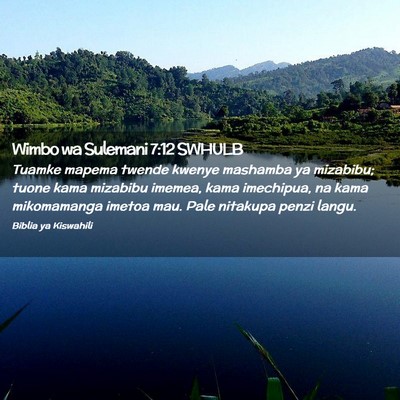 Picture 02 - Wimbo wa Sulemani 7:12 SWHULB - Tuamke mapema twende kwenye mashamba ya mizabibu; - Bible Verse Picture