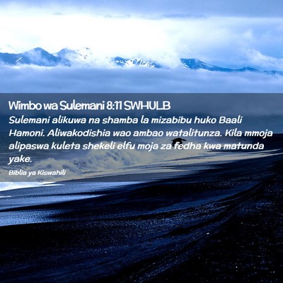 Picture 02 - Wimbo wa Sulemani 8:11 SWHULB - Sulemani alikuwa na shamba la mizabibu huko Baali - Bible Verse Picture
