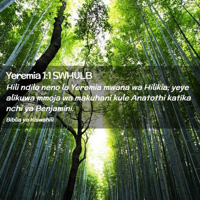 Picture 02 - Yeremia 1:1 SWHULB - Hili ndilo neno la Yeremia mwana wa Hilikia; yeye - Bible Verse Picture