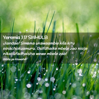 Picture 02 - Yeremia 1:17 SWHULB - Jiandae! Simama ukawaambie kila kitu - Bible Verse Picture