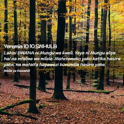 Picture 02 - Yeremia 10:10 SWHULB - Lakini BWANA ni Mungu wa kweli. Yeye ni Mungu - Bible Verse Picture