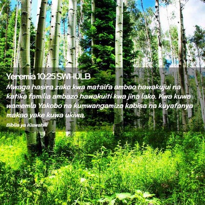 Picture 02 - Yeremia 10:25 SWHULB - Mwaga hasira zako kwa mataifa ambao hawakujui na - Bible Verse Picture