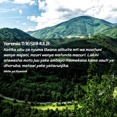 Picture 02 - Yeremia 11:16 SWHULB - Katika siku za nyuma Bwana alikuita mti wa - Bible Verse Picture