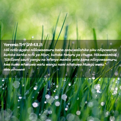 Picture 02 - Yeremia 11:4 SWHULB - Hili ndilo agano nililowaamuru baba zenu - Bible Verse Picture