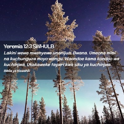 Picture 02 - Yeremia 12:3 SWHULB - Lakini wewe mwenyewe unanijua, Bwana. Umeona mimi - Bible Verse Picture
