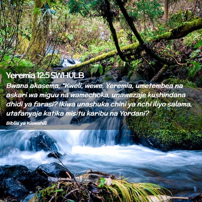 Picture 02 - Yeremia 12:5 SWHULB - Bwana akasema, “Kweli, wewe, Yeremia, umetembea - Bible Verse Picture