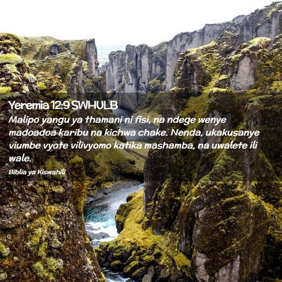 Picture 02 - Yeremia 12:9 SWHULB - Malipo yangu ya thamani ni fisi, na ndege wenye - Bible Verse Picture