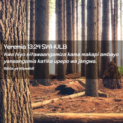 Picture 02 - Yeremia 13:24 SWHULB - Kwa hiyo nitawaangamiza kama makapi ambayo - Bible Verse Picture