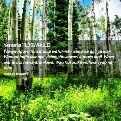Picture 02 - Yeremia 14:3 SWHULB - Wenye nguvu huwatuma watumishi wao kwa ajili ya - Bible Verse Picture