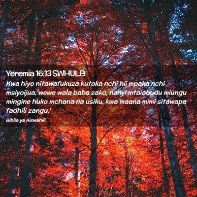 Picture 02 - Yeremia 16:13 SWHULB - Kwa hiyo nitawafukuza kutoka nchi hii mpaka nchi - Bible Verse Picture