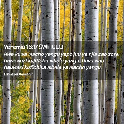 Picture 02 - Yeremia 16:17 SWHULB - Kwa kuwa macho yangu yapo juu ya njia zao zote; - Bible Verse Picture