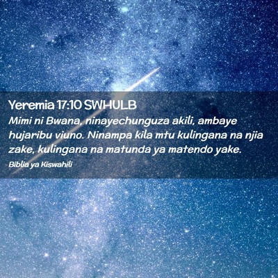 Picture 02 - Yeremia 17:10 SWHULB - Mimi ni Bwana, ninayechunguza akili, ambaye - Bible Verse Picture
